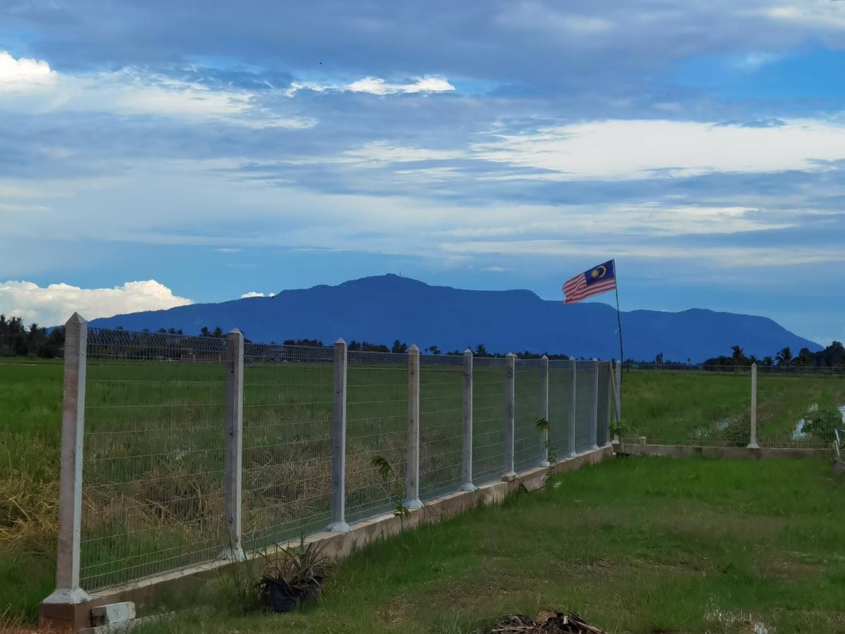 Dangau Sala D'Kontena Alor Setar Kültér fotó