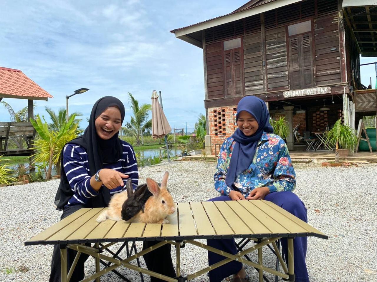 Dangau Sala D'Kontena Alor Setar Kültér fotó